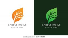 艺考培训迈向专业化，县域教育服务持续细分